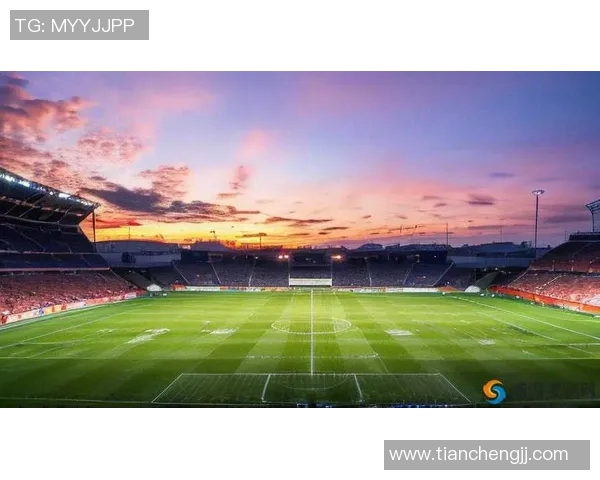 追逐梦想的绿茵场我想成为一名闪耀的足球明星 追逐梦想的绿茵场我想成为一名闪耀的足球明星