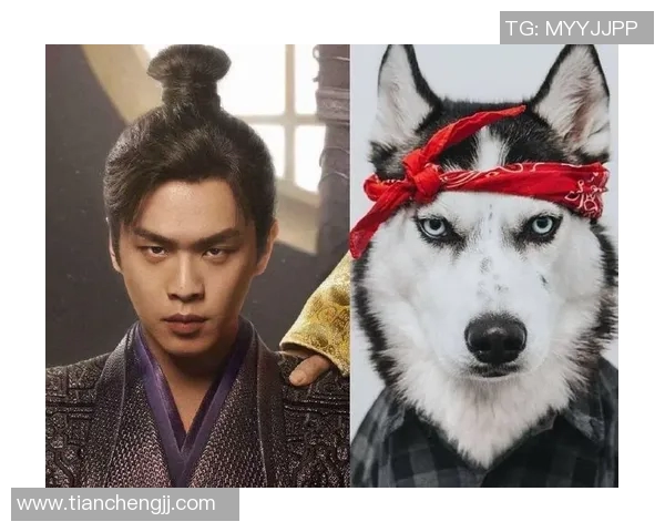 篮球明星与其他明星撞脸瞬间大揭秘让你惊叹于他们的相似度与魅力